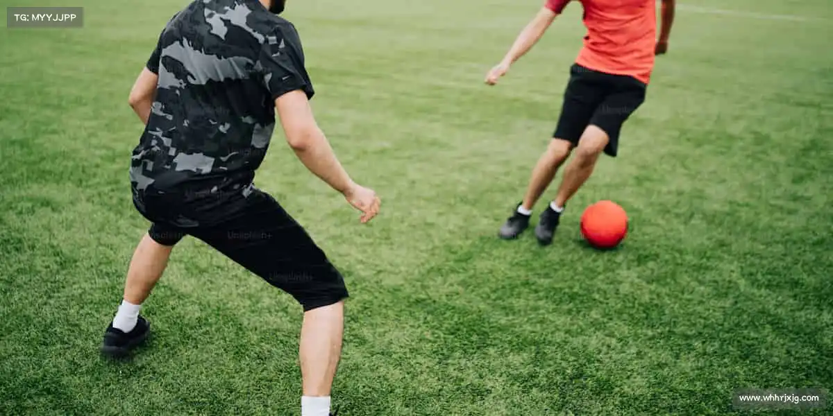 为什么选择我们